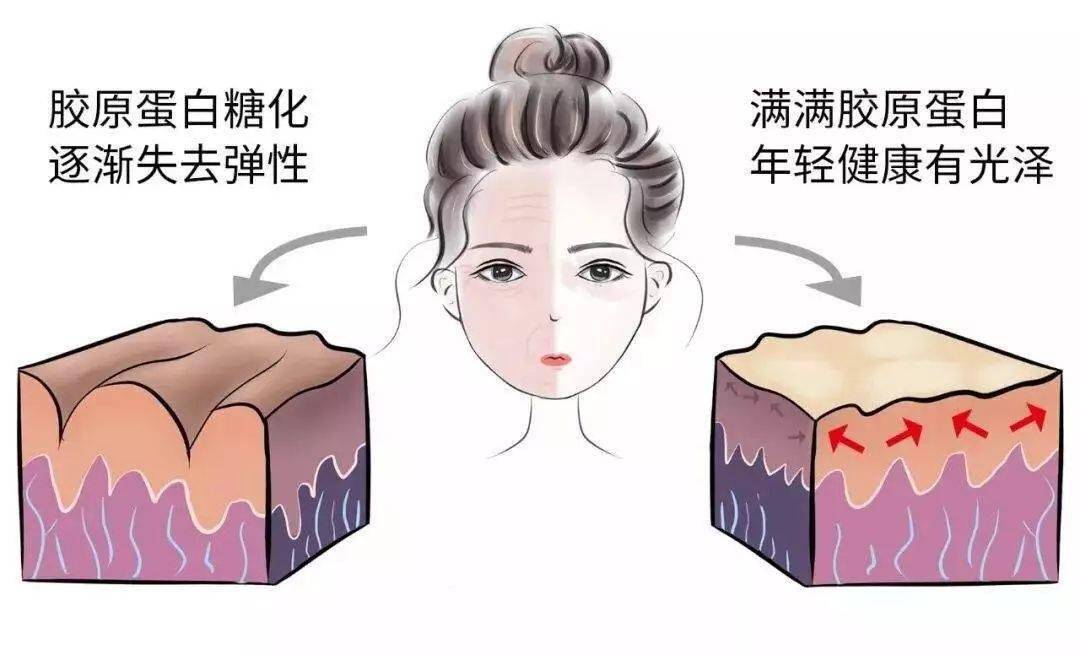 油脂|半个娱乐圈都在吃的“黑魔法”果冻，每日一吸，迎来好气色！