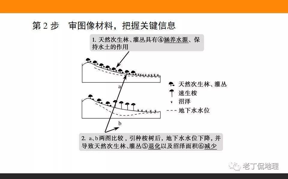 热带雨林地区人口稀疏的原因是_热带雨林(2)