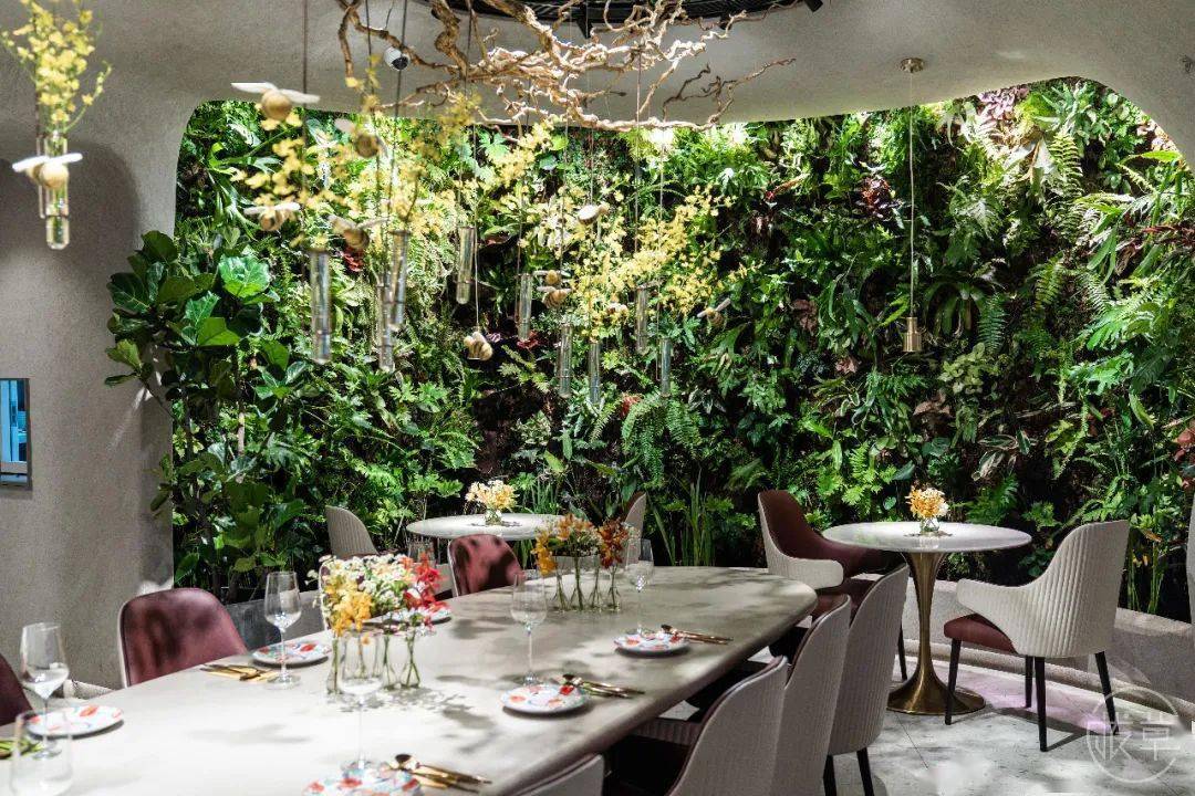 植物园|魔都也有了！帝都刷屏的“植物园餐厅”