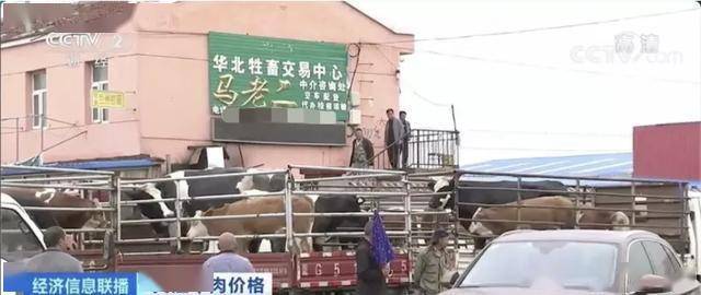 白万玉|养一头牛，纯赚5000元！牛肉价格连涨9周，达历史高位！还会再涨吗？