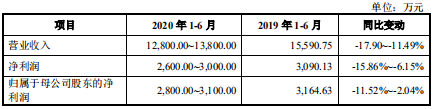 诊断|安必平上市首日涨98%换手率72% 上半年营收净利双降