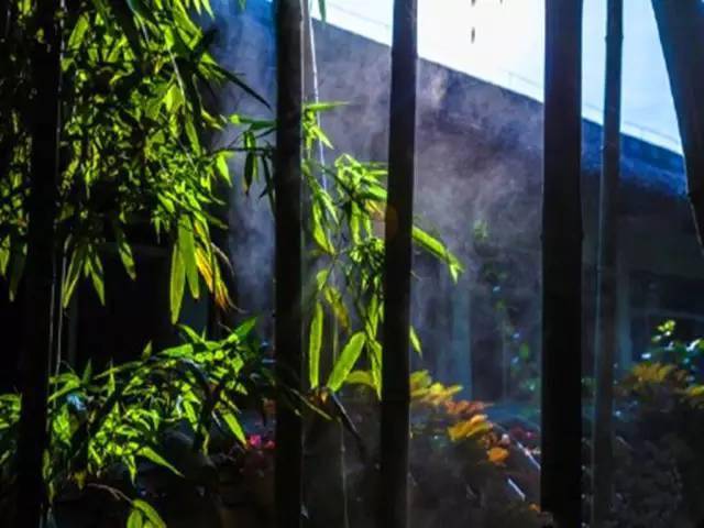 竹什么余成语_成语故事图片