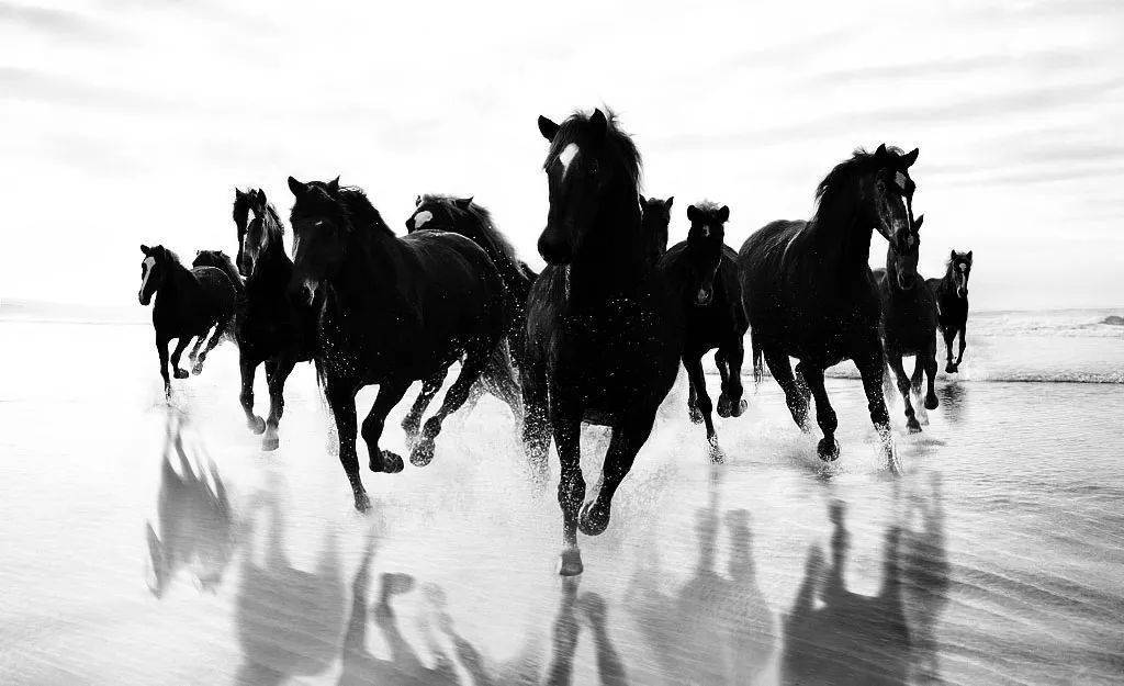 观点评论|辛有志：穿越疯狂的直播赛道