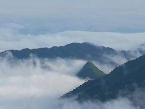 武宁|武宁有款太平红