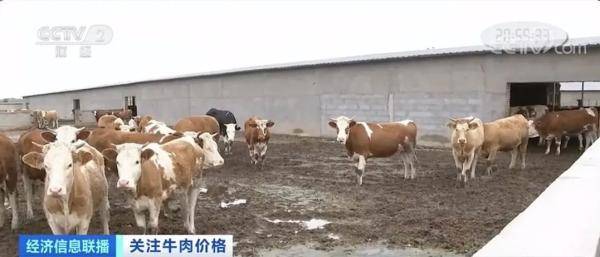 价格|你爱吃的这道菜，价格大涨！