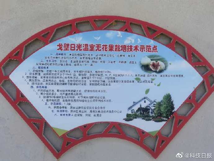 戈壁滩|“风吹石头跑，遍地不长草”还是你对戈壁滩的印象吗？