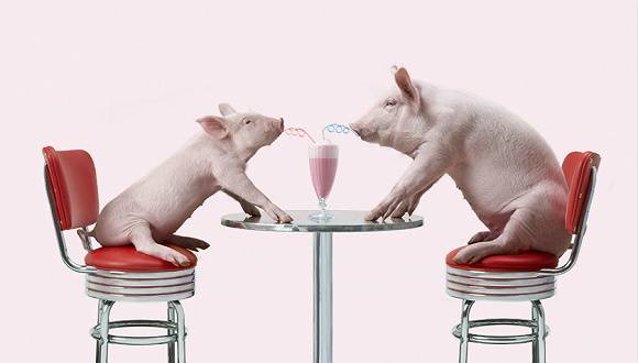 公司|“猪肉一哥”江湖地位岌岌可危，温氏股份干不过“后浪”牧原股份？