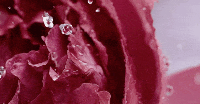 粉色|梦幻七夕，我和粉色香水有个约会！