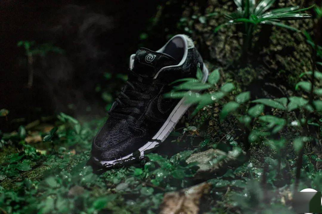 Dunk|这只“熊”将再度掀起热潮