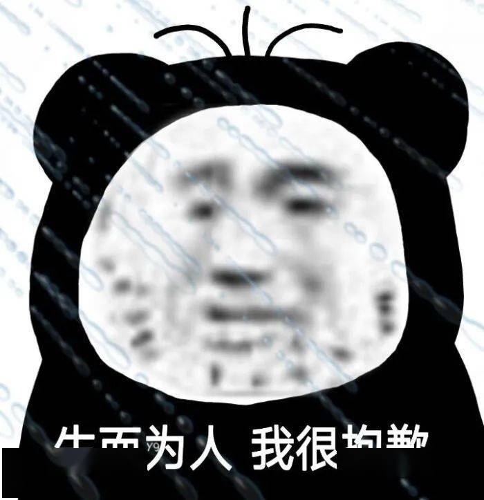 生而为人 我很抱歉