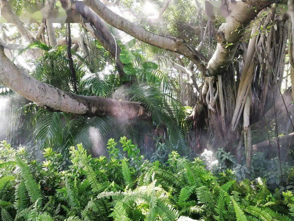 药物|医生，哪种降尿酸药最好？？？