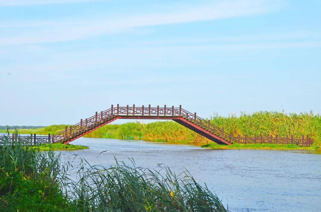 初秋,来泗洪洪泽湖湿地景区开启一场被"氧"之旅吧!