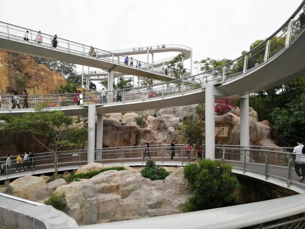 药物|医生，哪种降尿酸药最好？？？