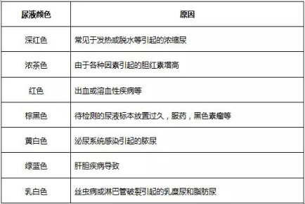 尿常规|一看就懂 | 尿常规检查全解读