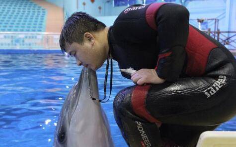 游泳|洛阳165斤小伙扮演油腻美人鱼走红，网友：实力证明游泳不能减肥