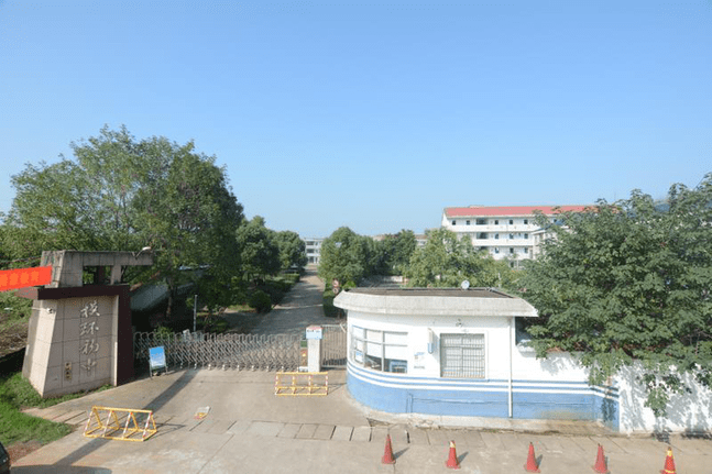 作业|龙游县模环中学样本观察 绿色智慧教育“作业家”扎根校园