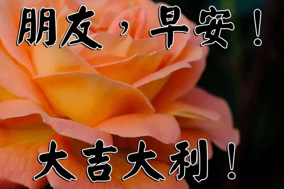 f67c638db47b49fabbb029f257a180d8.jpeg