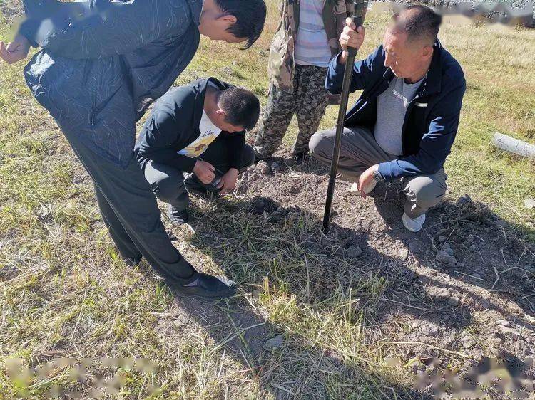 地质测绘是做什么的 395a9c2357cc4d70bdecbc03662518e1.jpeg