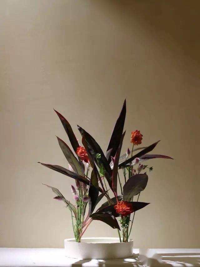 花道美学：未生流_花矩