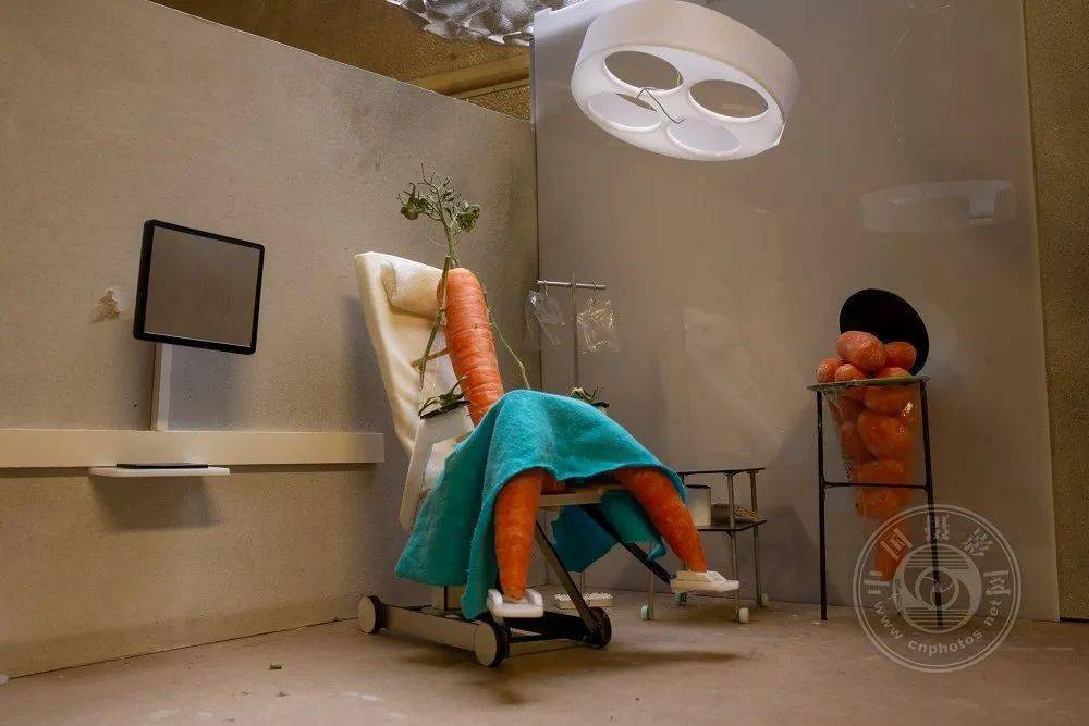 黄瓜|玉米、黄瓜、西红柿这样拍!中国摄影网“拍了拍”你