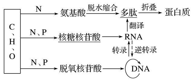 纤维素分解菌的筛选原理是什么_我是纤维素分解菌(2)