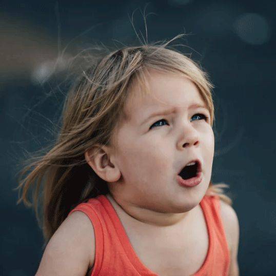 柠檬|直播预热丨亚东太一柠檬分享团开团了!