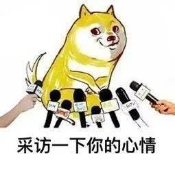 布谷鸟是什么东西 69ffd6cc9d0d46acbbb129efcec036d5.jpeg