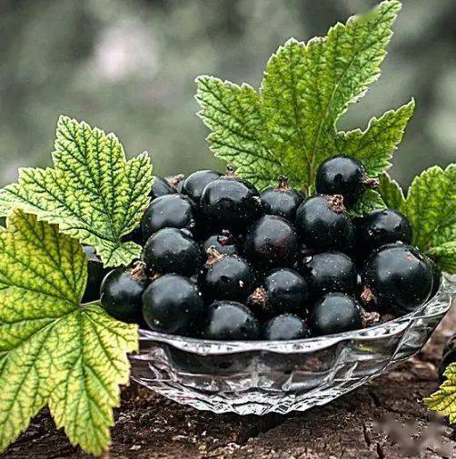 皮肤|白到发光的张雨绮性感冲出屏幕!这次成了“直女斩”