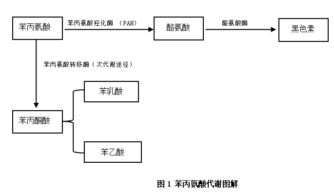 f5dd248d3dbb4572baa58dcc0771a406.png