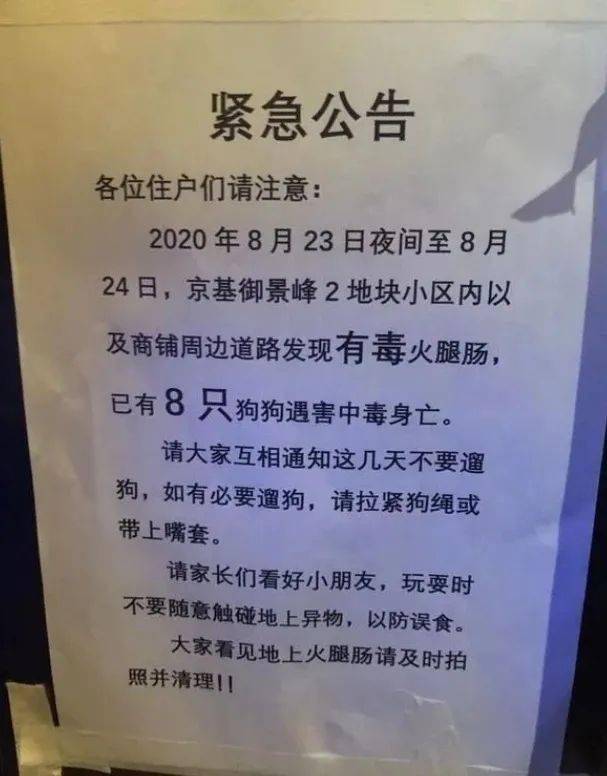 火腿肠|蹊跷！深圳小区宠物狗接连死去，疑似被投毒？警方介入