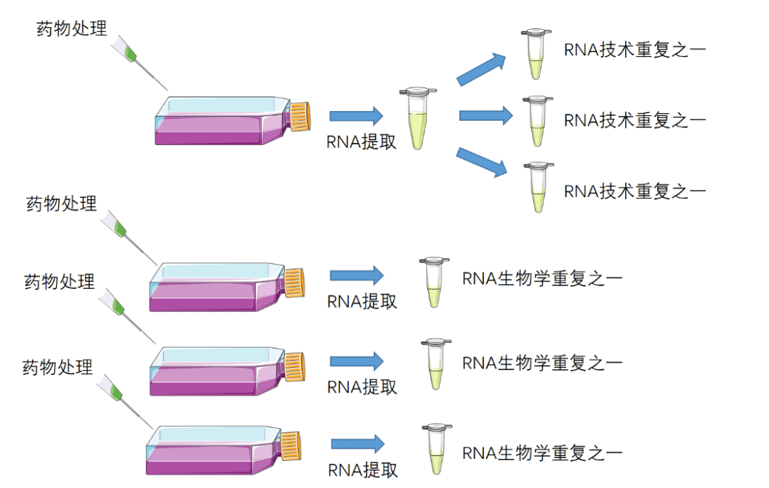 珍藏干货不同取样混样提取方案对rna测序结果的影响多图预警