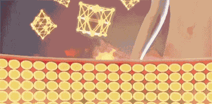 运动|“80斤的脸，120斤的腿”？魔力薇薇瘦腿裤来啦！全新升级千万不要错过！