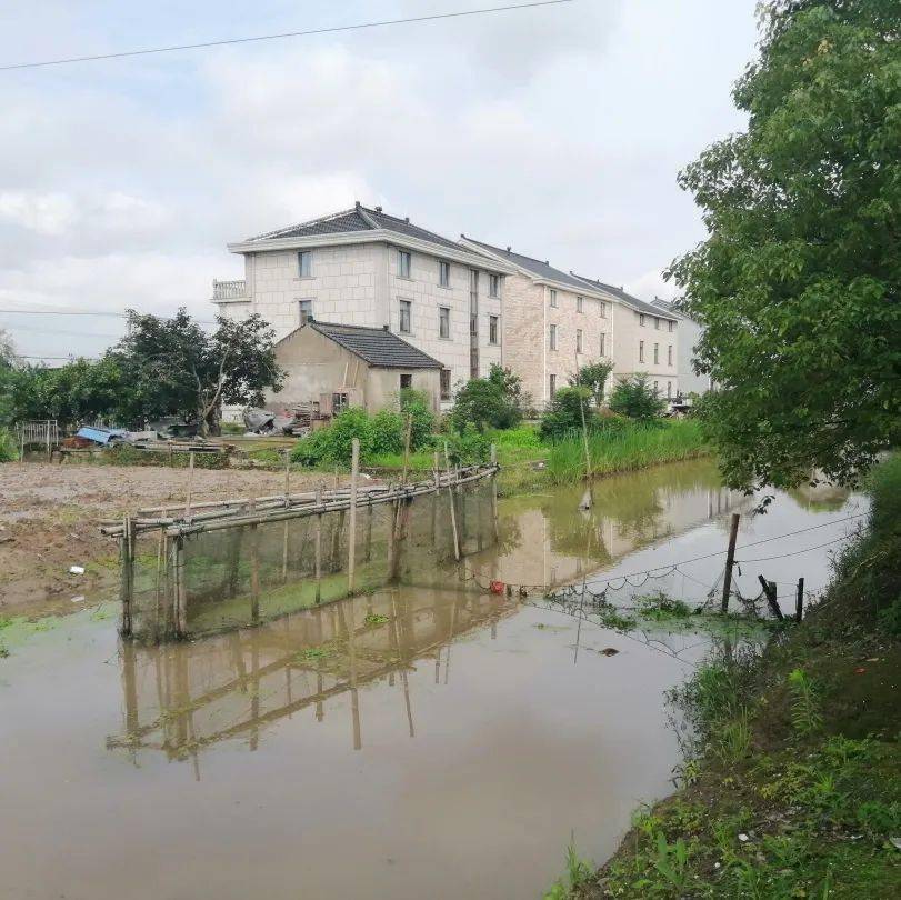 碧溪在行动周六约定提标提质文明城市创建