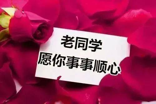 52ba159a51fd49cf98c8cde900fa63c6.jpeg