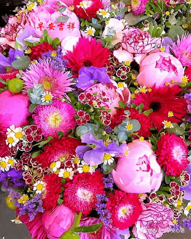 640_800 竖版 竖屏