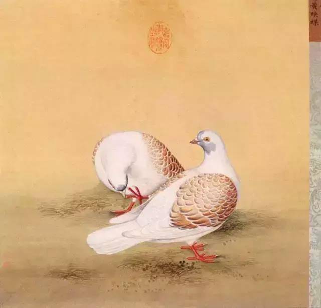 【书画界】工笔珍禽《鹑鸽谱》故宫馆藏