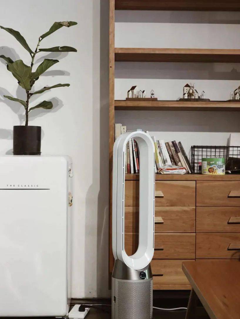 胶囊|这段时间我收藏的那些好看又实用的高颜值小家电