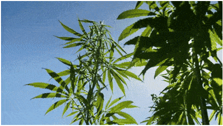 保养|张雨绮每月保养脸疑花70万，听了伊能静的金额……贫穷限制了我的想象