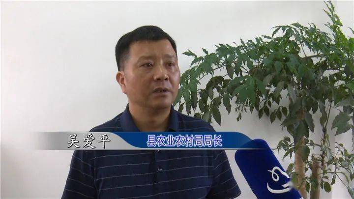 县农业农村局局长吴爱平说:宝应将加快国家现代农业产业园建设,力争2