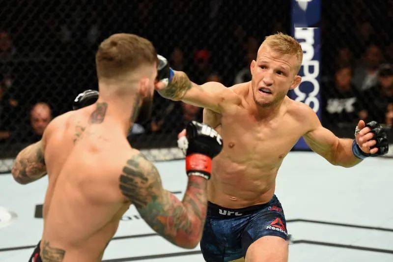 2020ufc雏量级最新排名_UFC雏量级排名第一的高手,惨遭神龙摆尾爆头!