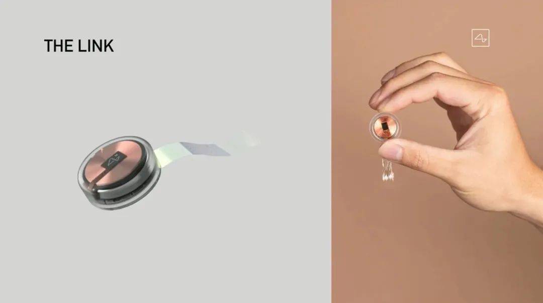 马斯克|马斯克将芯片接入猪脑！说可以存储、下载记忆，网友：可怕…