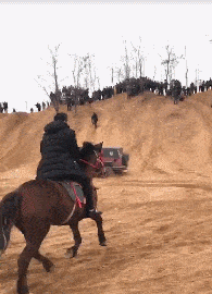 我命咋这么苦还不信了,弄不起来你 拼了老命了这婚结的都快怀疑人生了