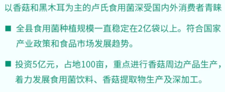 三门峡卢氏县:富山宝地 神秘的千年古县