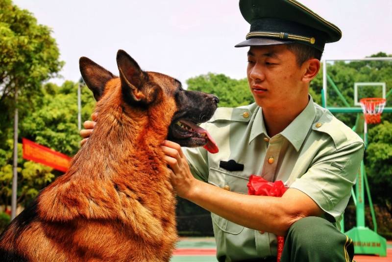 橄榄绿|退下橄榄绿，中山30余名退伍老兵敬上最后一个军礼