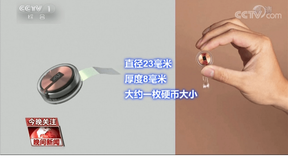 马斯克|头皮发麻！马斯克带小猪演示脑机接口新成果 为何必须“侵入”大脑？