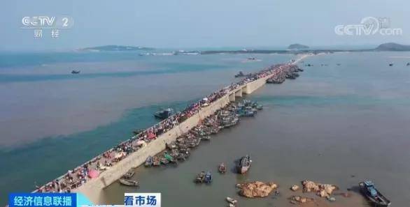 上市|开捕！384艘渔船开工！这里的鱼虾一上市就被抢购一空！价格却涨了三成，因为…