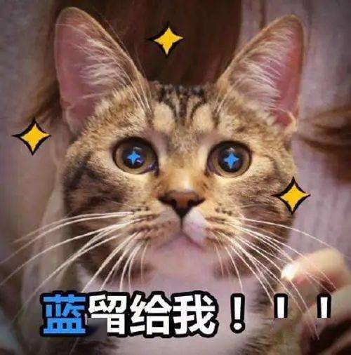 b939aad20ff24d40a80a3ad847ee15e2.jpeg