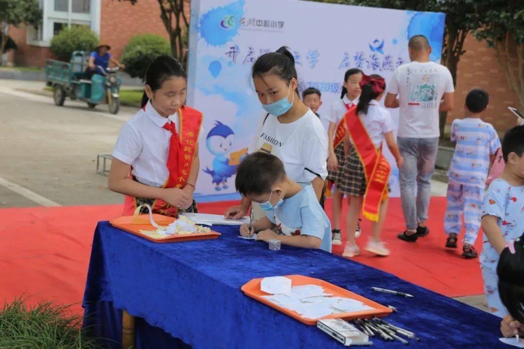 2020莼湖GdP_莼湖米豆腐图片(2)