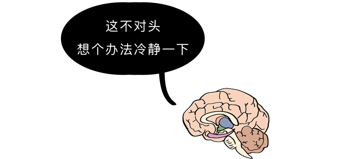 5d44cf05e2794bfcb3cf3b94c2cb87a9.png