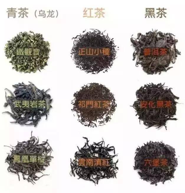 花茶|助你成为喝茶高手！六大茶类最全知识